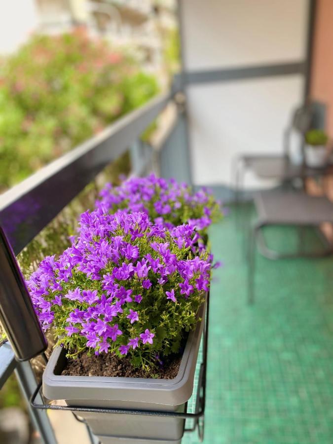 Bella Vacanza - City Center -Air Conditioning -Wi-Fi 拉帕洛 外观 照片